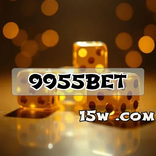 9955bet Segurança